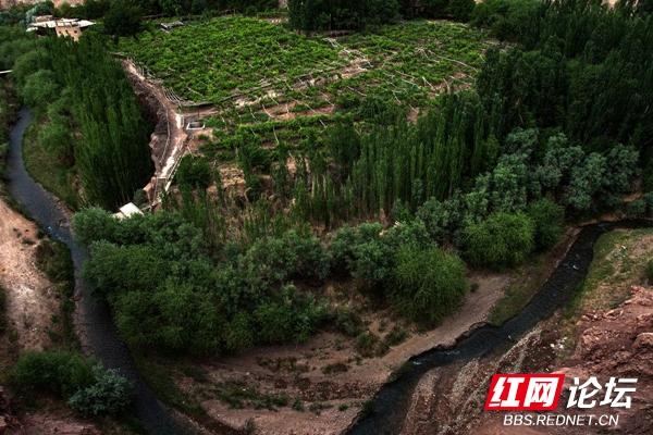 火焰山在哪里，火焰山在哪里哪个省份（带你看看真实的火焰山是啥样）