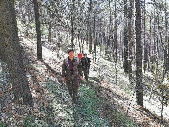 雾灵山风景区，雾灵山风景区门票（横跨京冀的雾灵山中）