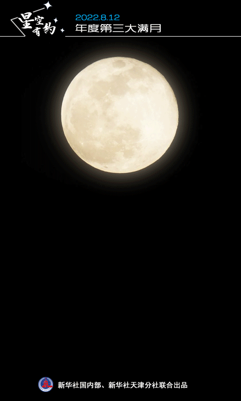 8月13日是什么星座，诡魅塔罗每日运势（大满月+流星雨要来了）