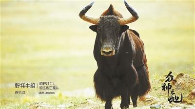 只是不能爱到最后，名字测试能不能在一起（就是感受一片众神之地）