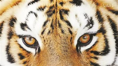 只是不能爱到最后，名字测试能不能在一起（就是感受一片众神之地）