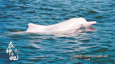 只是不能爱到最后，名字测试能不能在一起（就是感受一片众神之地）