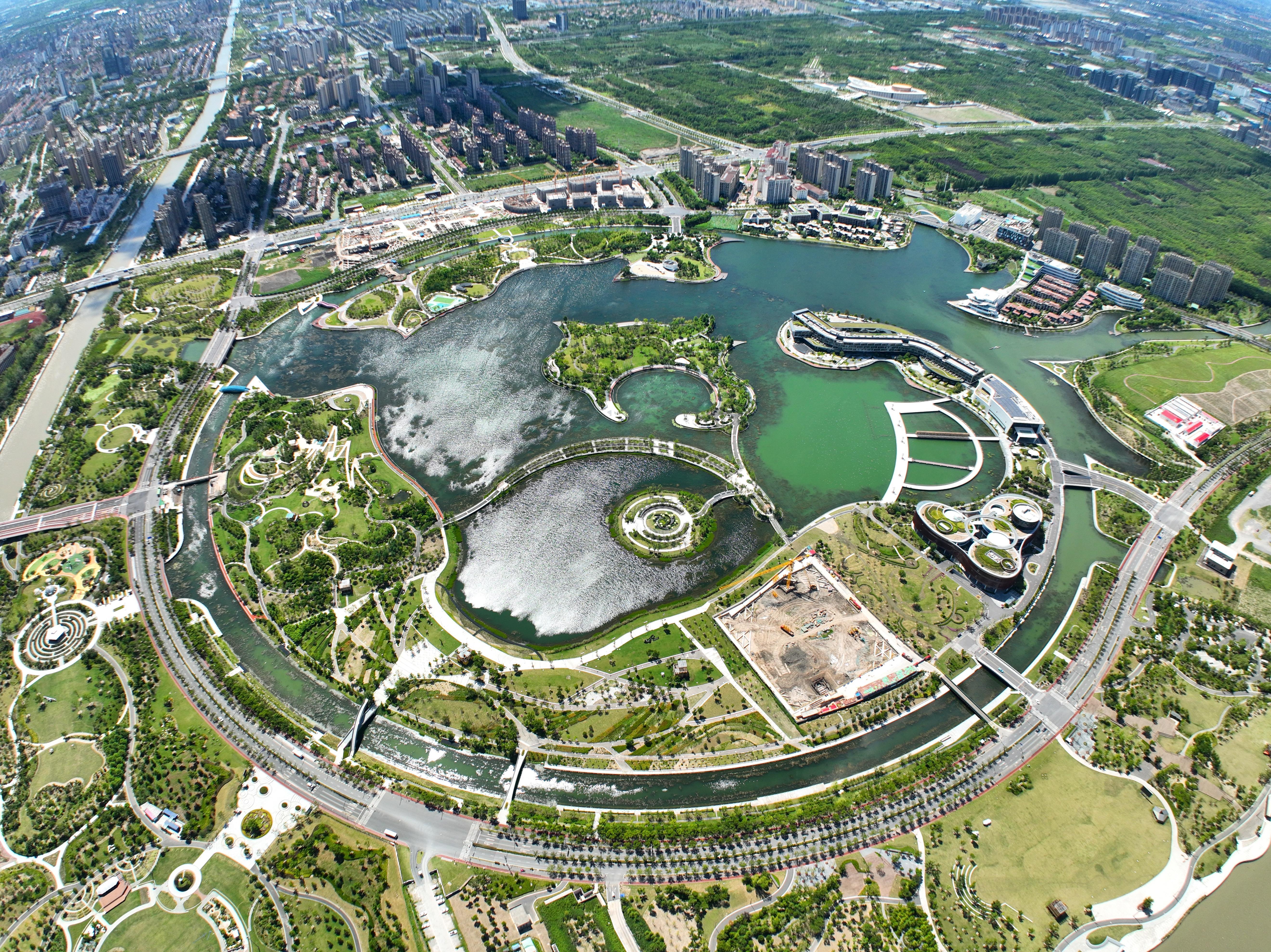 "上海之鱼"跃绿海,奉贤新城奏响水绿交融"江南韵"