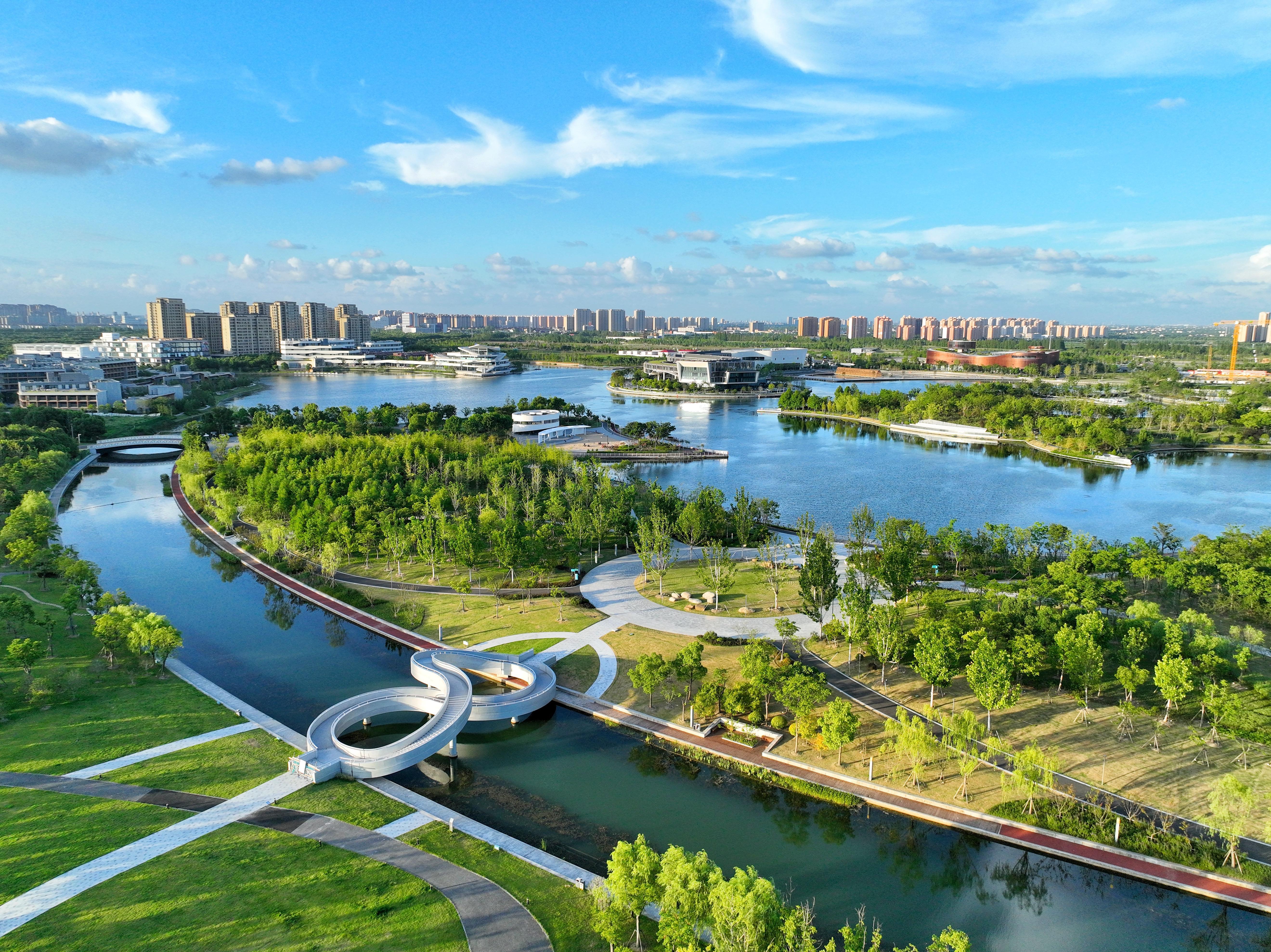 "上海之鱼"跃绿海,奉贤新城奏响水绿交融"江南韵"