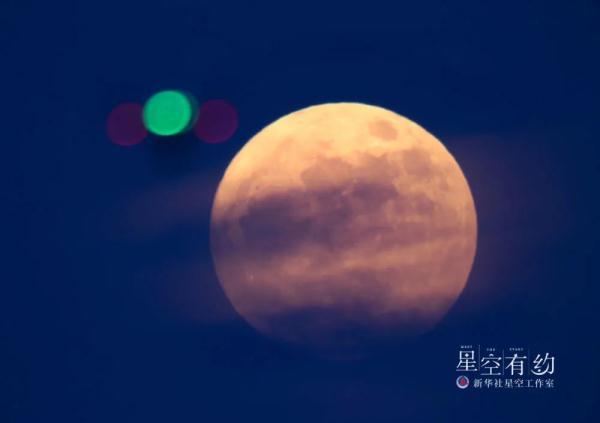 8月13日是什么星座，诡魅塔罗每日运势（大满月+流星雨要来了）