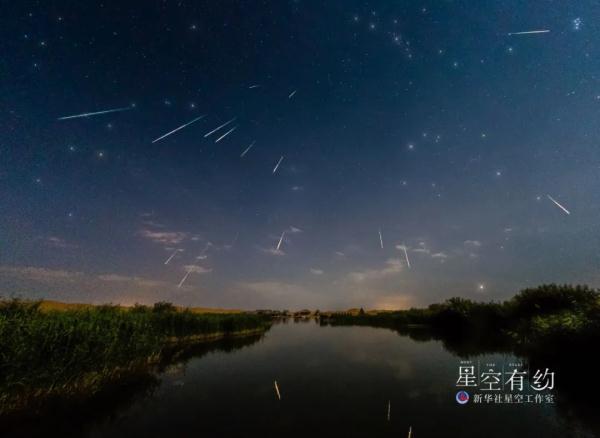 8月13日是什么星座，诡魅塔罗每日运势（大满月+流星雨要来了）