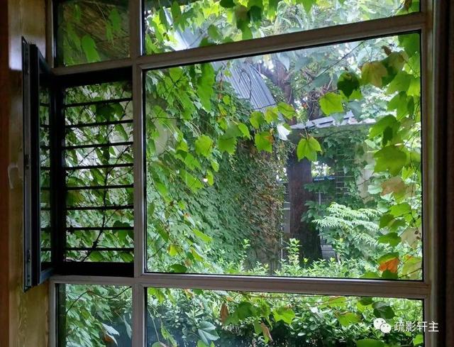 雨打芭蕉闲听雨全诗，道是有愁又无愁是什么意思（青未了 ， 梨园醉雨）