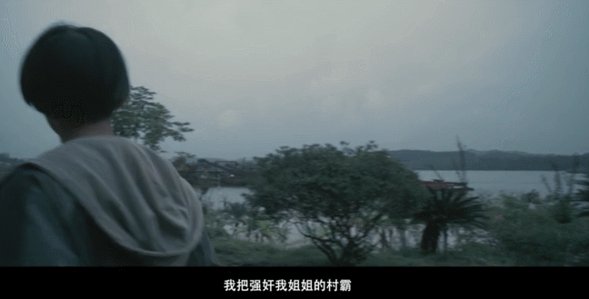 观音山剧情详细介绍，观音山未删减的剧情（《苹果》导演新作）