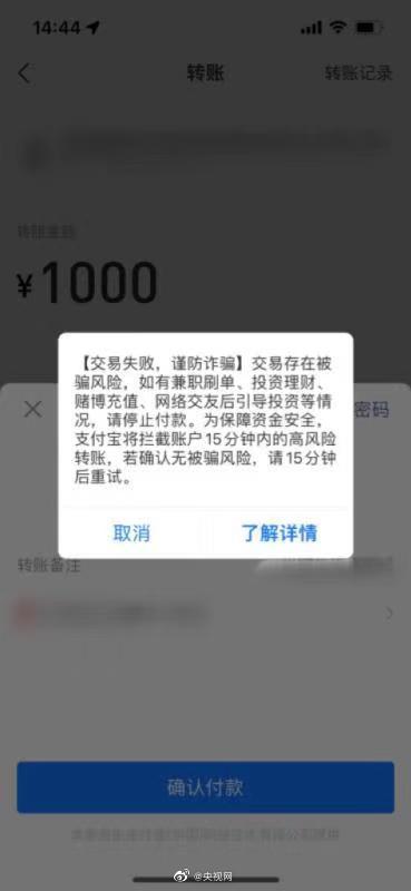 支付宝24小时延迟到账功能什么意思 详细介绍如下，支付宝24小时延迟到账功能什么意思（支付宝出现这两个界面千万别转账）