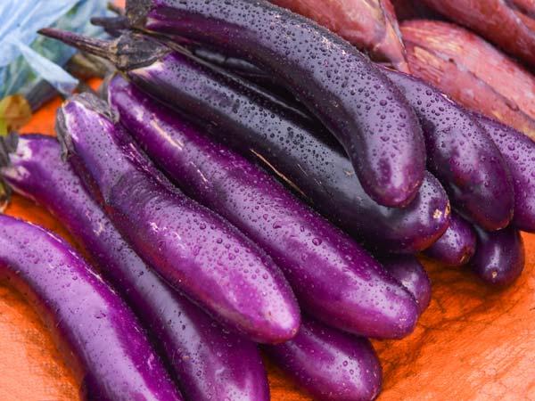 昆仑有紫瓜，夏季开胃全靠它，昆仑紫瓜怎么煮（袁念琪：上海人的茄子菜）