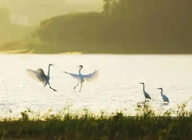 松山湖属于东莞哪个镇（盘点松山湖科学城、功能区十镇好去处）