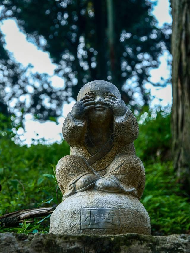 庐山旅游攻略，庐山旅游攻略必去景点（庐山，南昌六日故地重游）