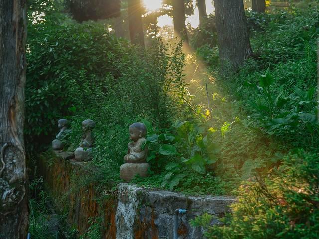 庐山旅游攻略，庐山旅游攻略必去景点（庐山，南昌六日故地重游）