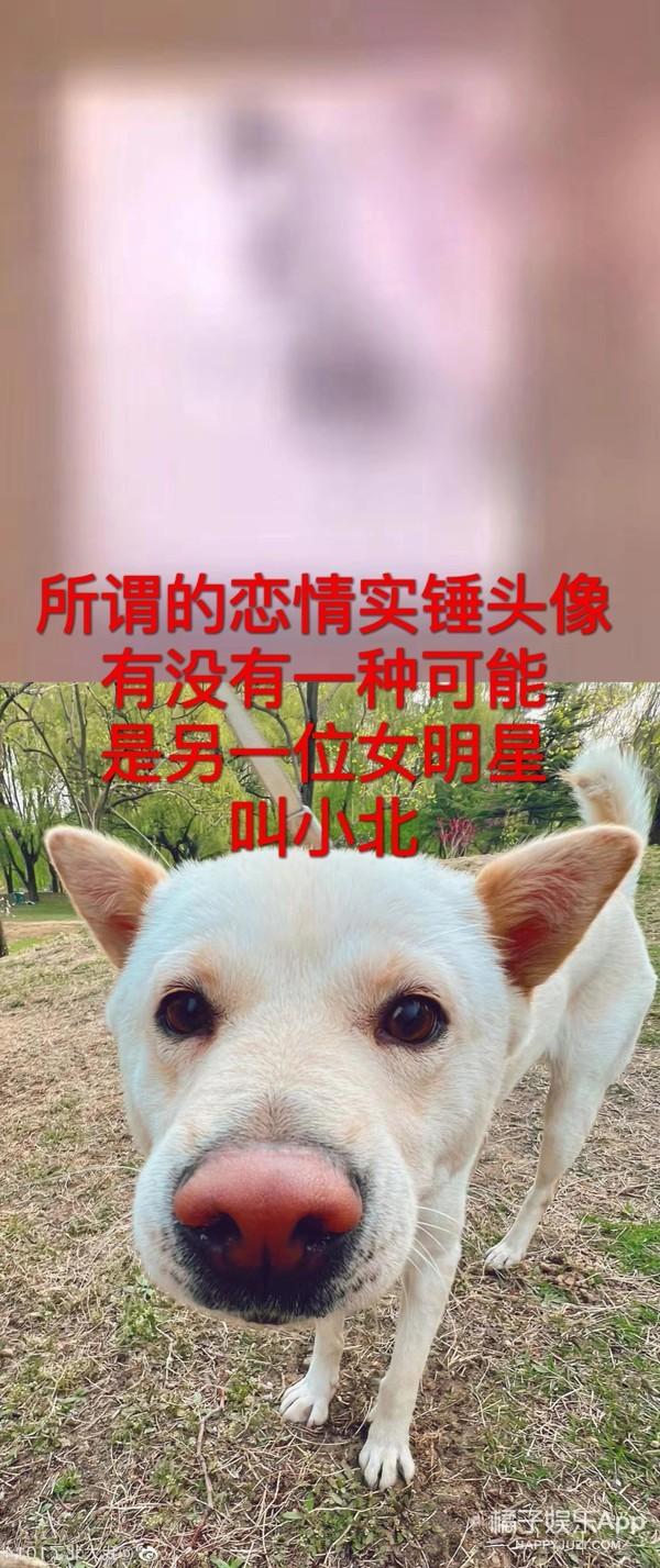 吴磊女朋友是谁（吴磊被曝恋情圈内人皆知）