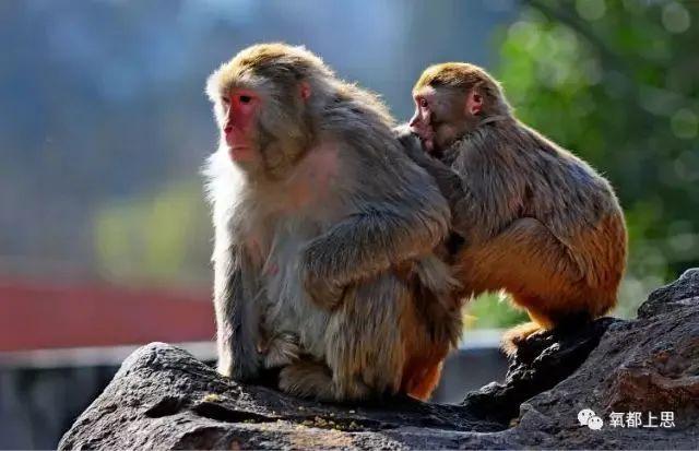 防城港市有哪些旅游景点呢，防城港市有哪些旅游景点呢自驾游（防城港这些景点安排上）