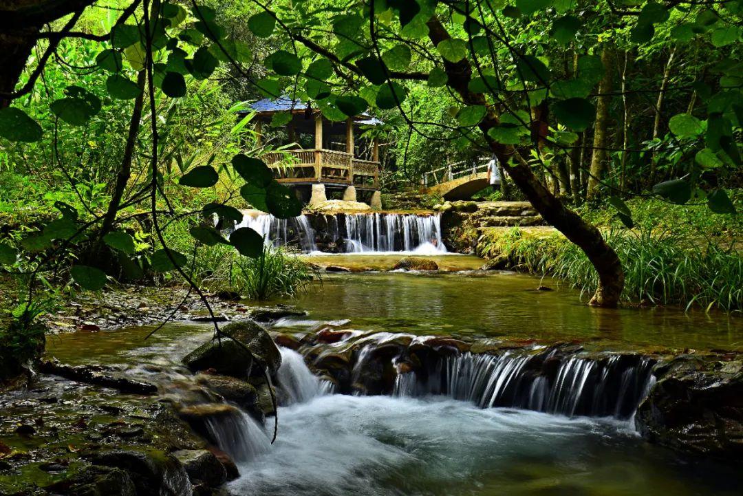 肇庆藏龙沟(绝了) - 悦闻天下