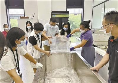 增城经纬度，湛江经纬度坐标（与历史中的“广州人”对话）