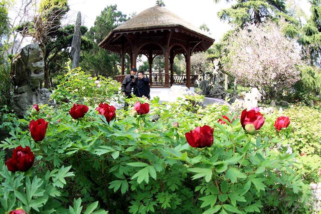 张謇生平简介，化蛹成蝶：张謇和他的南通