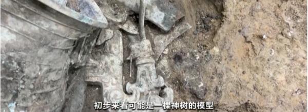 5毫米等于多少厘米(15mm长度真实图片)"
