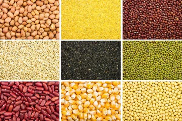 早餐几点吃最佳时间，减肥早餐几点吃最佳时间（远比你想象的严重）