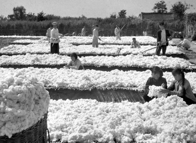 送钢笔的寓意，送钢笔的意义是什么（今天，我们重温这篇经典）