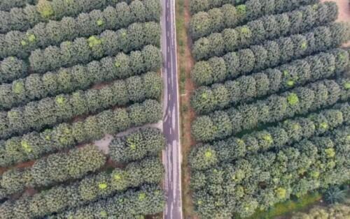 5月14日是什么日子，5月14日是什么日子?耶稣（今天，我们重温这篇经典）