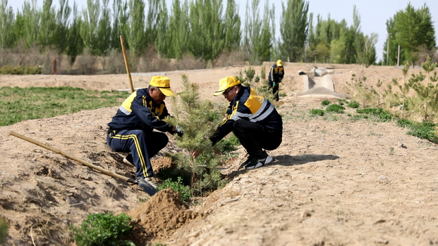 安全教育成语，关于国家安全教育的成语（成语新编，看铁路人的独家解读）