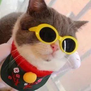 太阳镜怎么挑选，太阳镜怎么挑选比较合适（挑选太阳镜的要点都在这里了→）