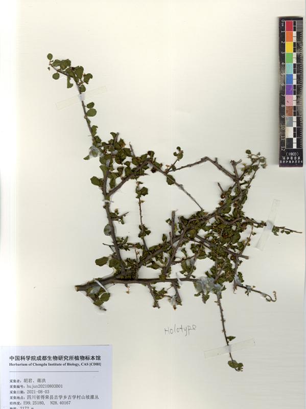 20英寸是多少厘米，20寸是多少厘米（双重“相因”来了；两岁女童遭蛇咬后反将蛇咬死）