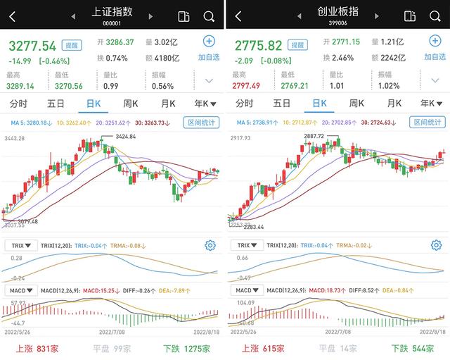 大消费板块股票有哪些,消费类股票有哪些（A股市场震荡收跌）