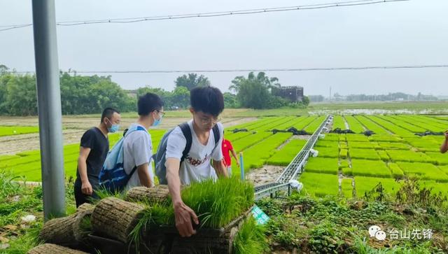 台山人精神是什么，台山人是怎样的人（返乡大学生为台山发展导入青春“源动力”）