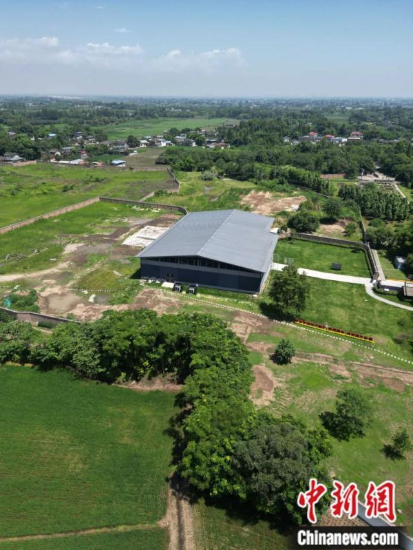 多元一体的意思是什么，多元一体的意思是什么什么是各民族的有机整体（三星堆何以生动实证中华文明多元一体）