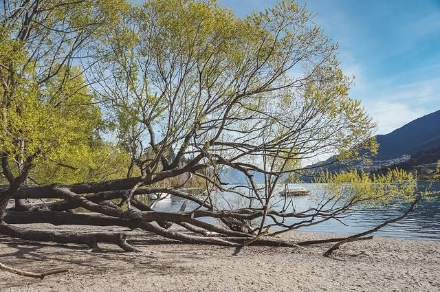 motel是什么意思，motel是什么酒店（motel的中文是什么）