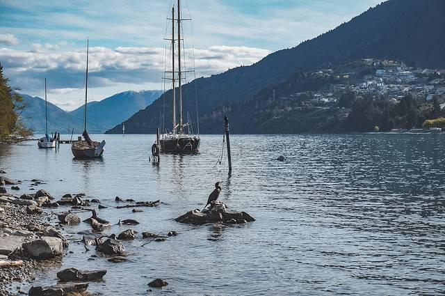 motel是什么意思，motel是什么酒店（motel的中文是什么）