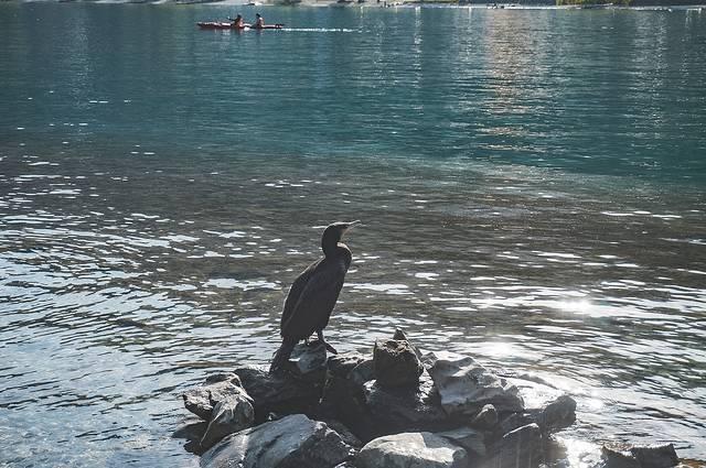 motel是什么意思，motel是什么酒店（motel的中文是什么）