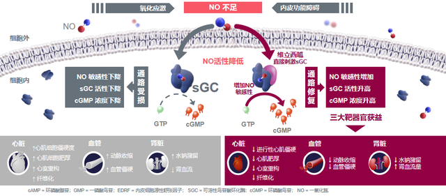 esc键是什么意思，电气esc键是什么意思（大型真实世界研究支持）