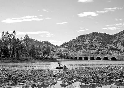 500种动物名称大全，动物名称大全500种（动物名称大全）