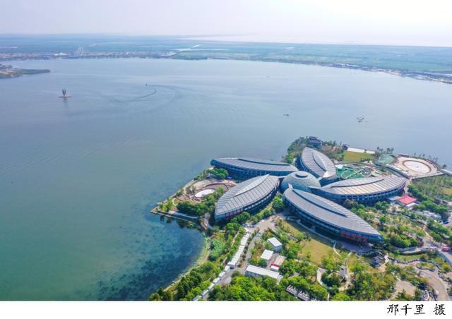 我们在梦开始的地方人物介绍，我们的梦在开始的地方演员（临港“追梦人”与新片区一同成长的故事——梦想升腾向上）