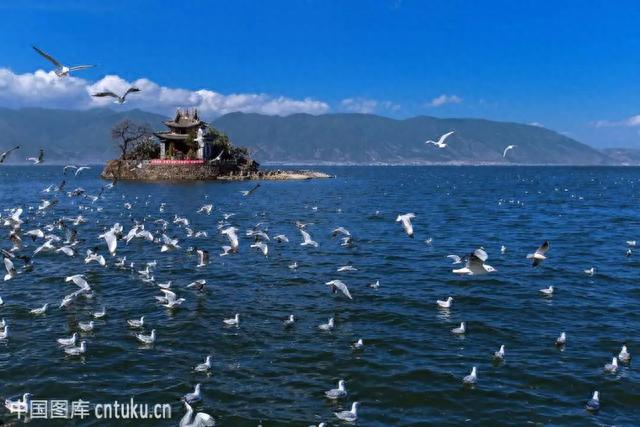 洱海湿地保护区，云南-苍山洱海自然保护区