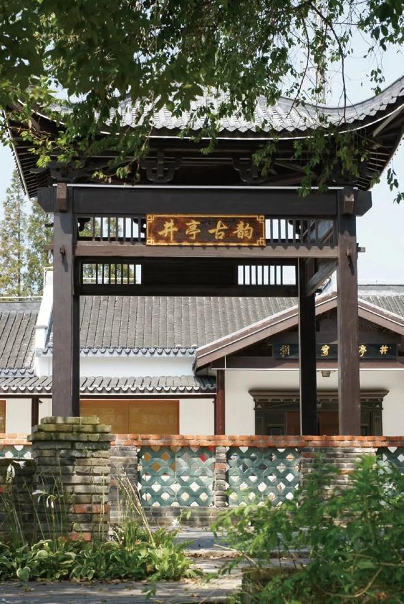 崇明岛一日游，游在崇明，学在路上（崇明岛一日游最佳路线）