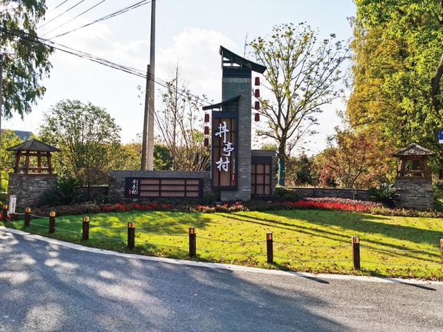 崇明岛一日游，游在崇明，学在路上（崇明岛一日游最佳路线）