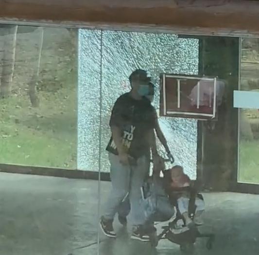老虎能拍碎汽车玻璃吗，老虎能打碎汽车玻璃吗（老虎拍碎玻璃 游客逃窜）