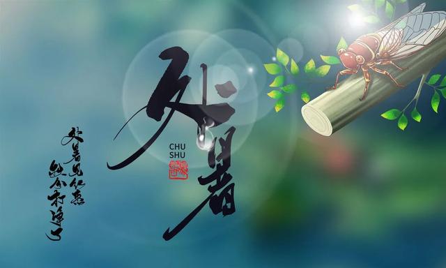 北瓜和南瓜的区别，南瓜和北瓜一样吗（拿它随手一拌鲜美清爽）