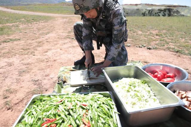 四省藏区是哪四省，四省藏区是什么（川藏汽车兵：车辙向西生长）