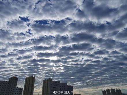 鱼鳞云预示什么天气，鱼鳞云代表什么天气（辽宁阜新出现大片鱼鳞云）