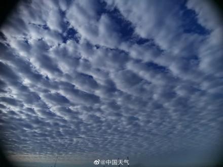 鱼鳞云预示什么天气，鱼鳞云代表什么天气（辽宁阜新出现大片鱼鳞云）