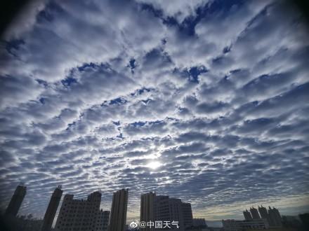 鱼鳞云预示什么天气，鱼鳞云代表什么天气（辽宁阜新出现大片鱼鳞云）