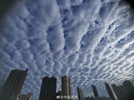 鱼鳞云预示什么天气，鱼鳞云代表什么天气（辽宁阜新出现大片鱼鳞云）