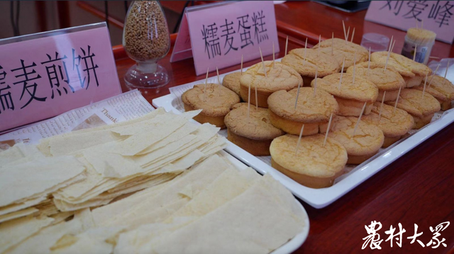 糯米粉可以用什么代替，做汤圆没有糯米粉用什么代替（可替代糯米粉制作年糕、汤圆等糯性食品）