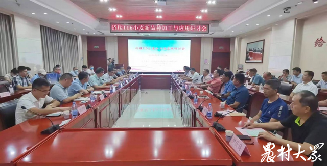 糯米粉可以用什么代替，做汤圆没有糯米粉用什么代替（可替代糯米粉制作年糕、汤圆等糯性食品）